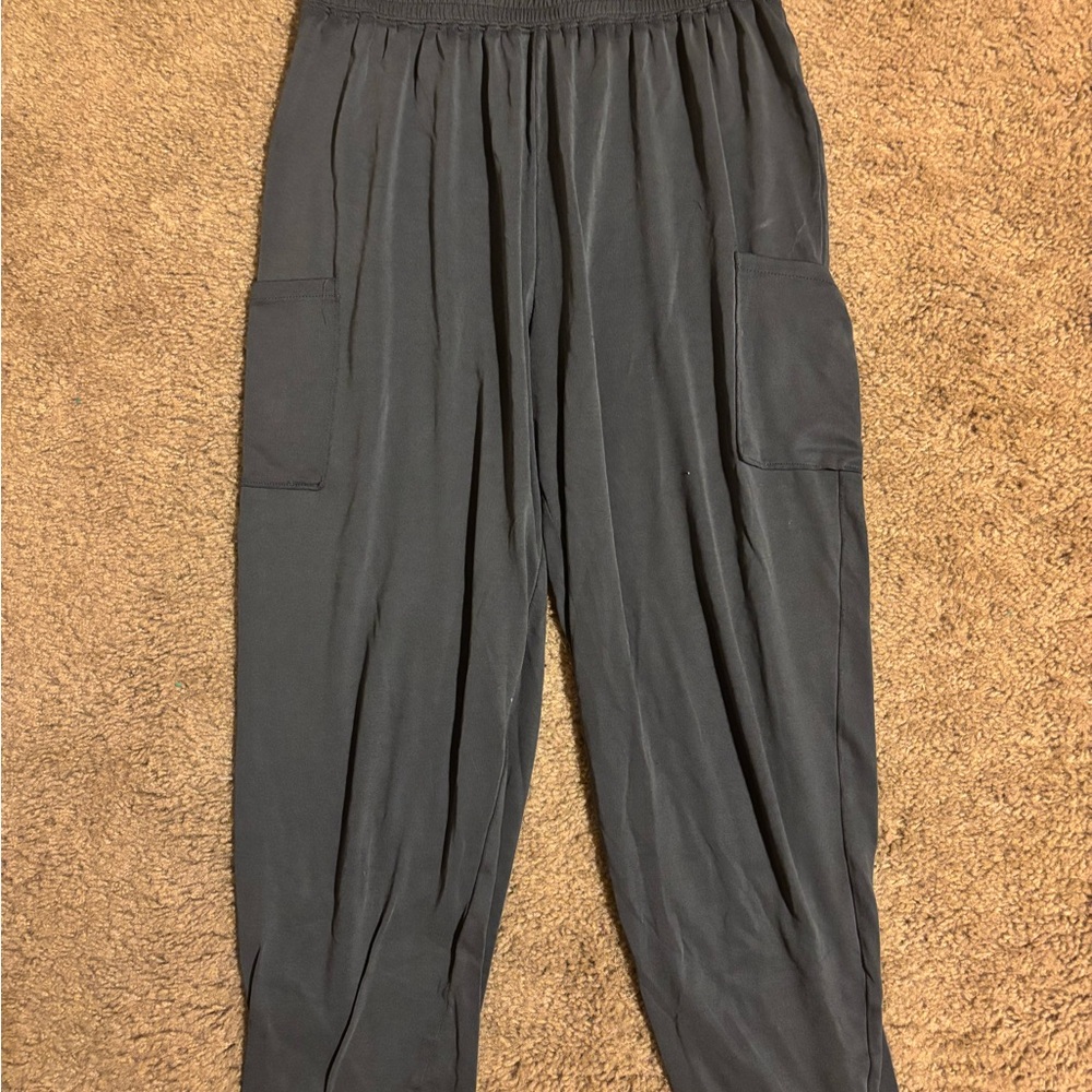 Buttery soft joggers! American Eagle. Women’s color is gray